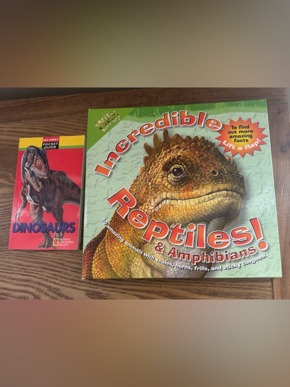 Incredible Reptiles & Amphibians + My First Pocket Guide Dinosaurs Book LOT